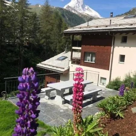 Apartmán Alsuki Bellevue 